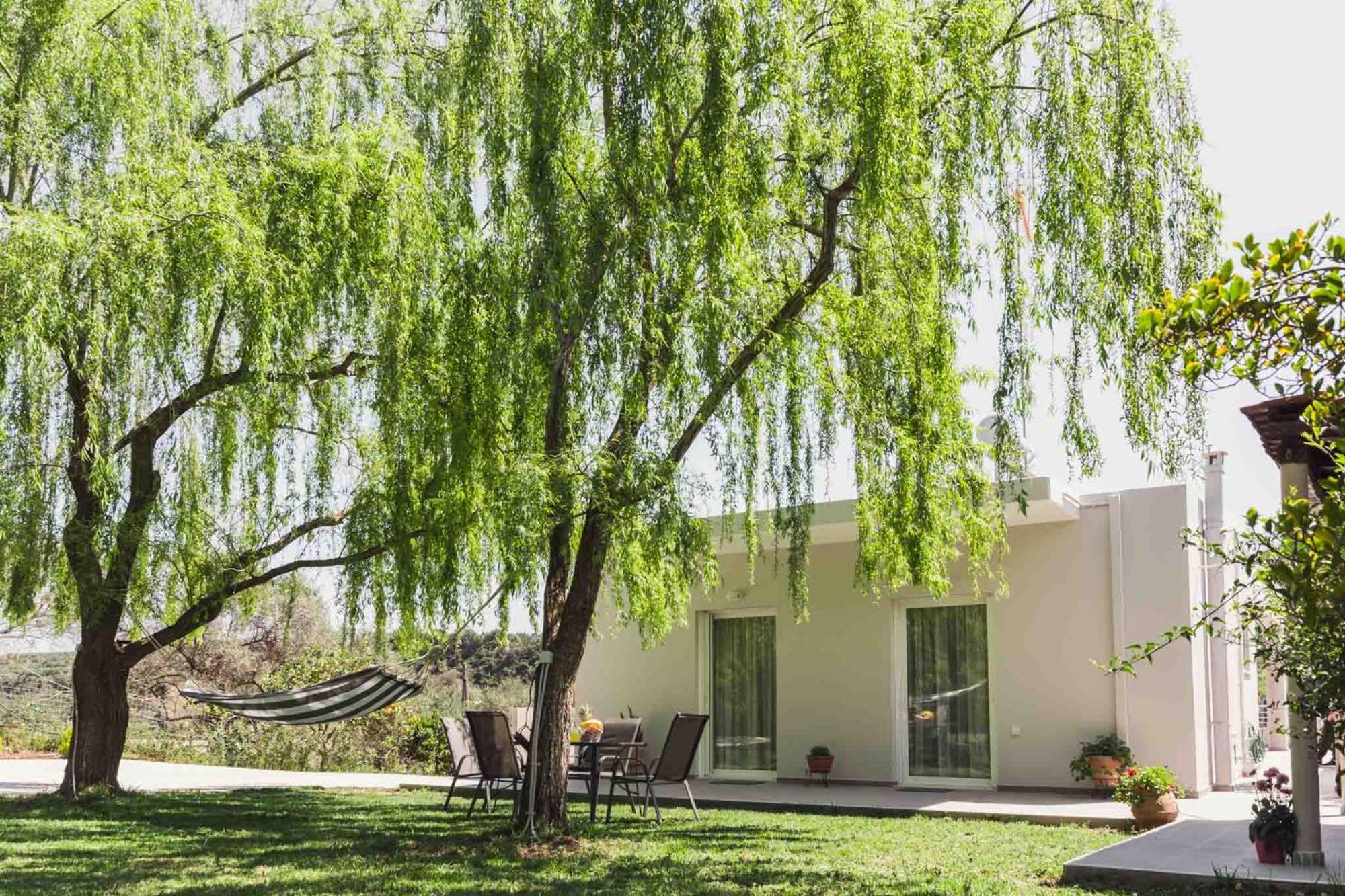 PlatanésLiofyto House Private Garden公寓 外观 照片